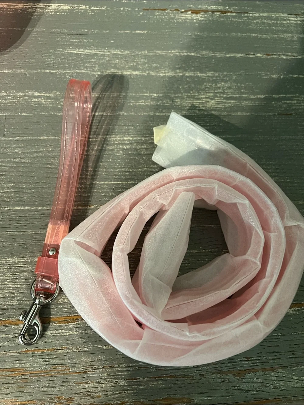 Coach Pink Transparent Jelly Crossbody